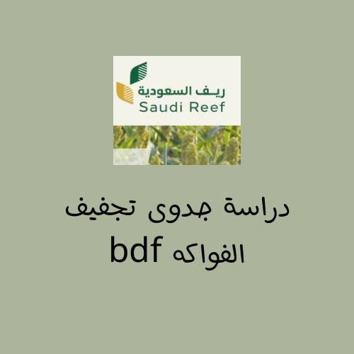 دراسة جدوى ريف