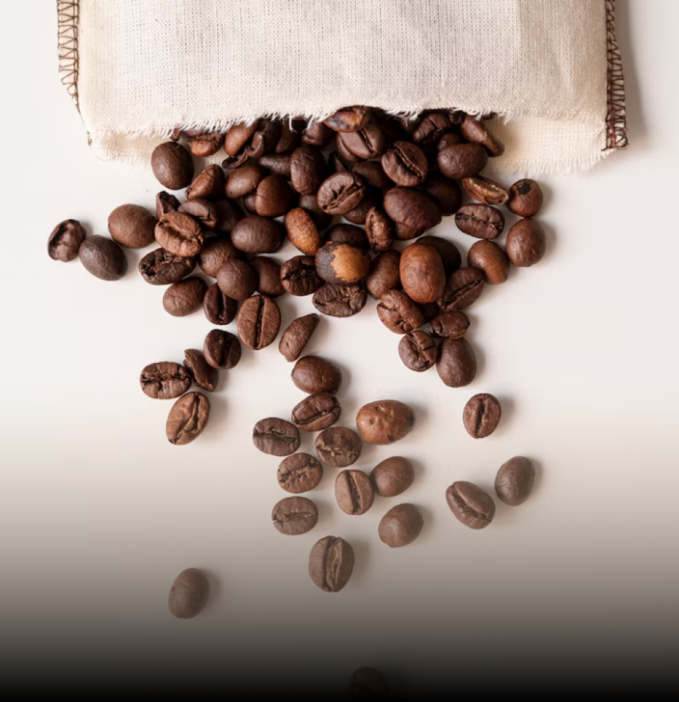 بن قهوة مختصة