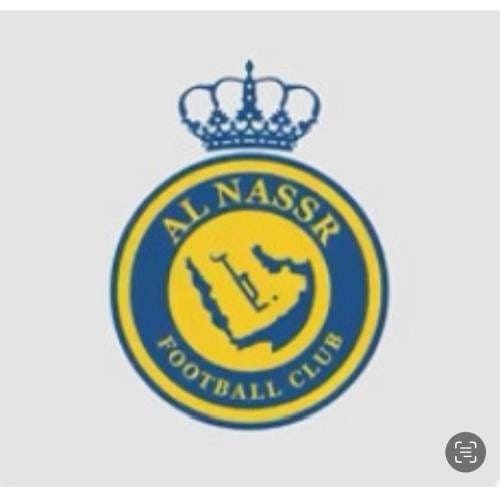 بروجكتر لباب السيارة شعار النصر