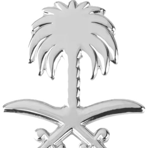استيكر حديد سيفين ونخلة فضي