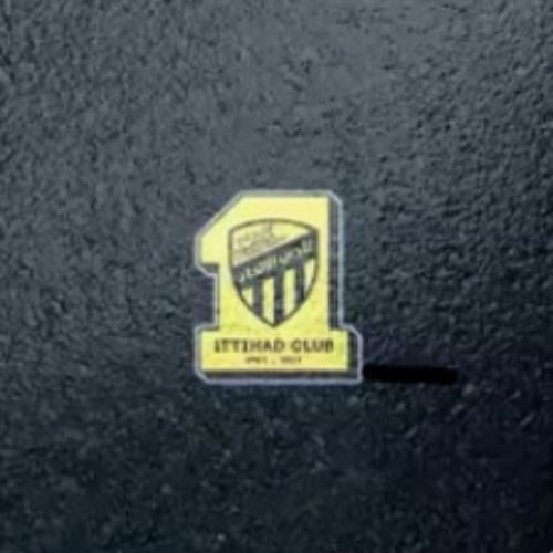 بروجكتر لباب السيارة شعار الاتحاد