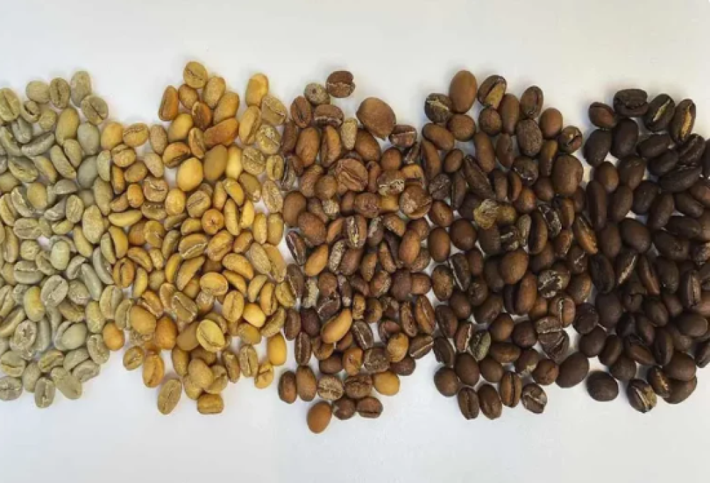 درجة تحميص القهوة  الفرق بين الفاتح والمتوسط والداكن