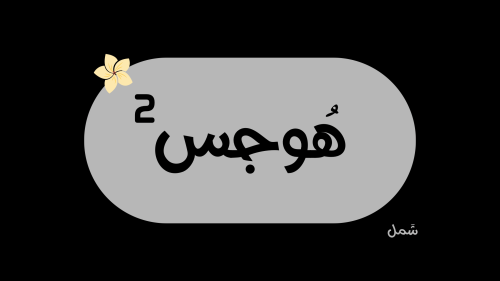 هوجس2