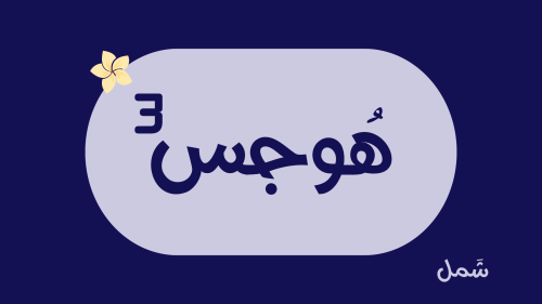 هوجس3