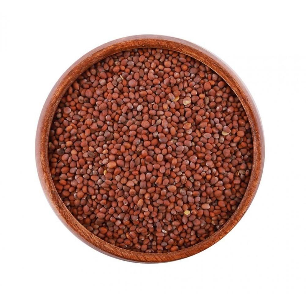 بذور الفجل