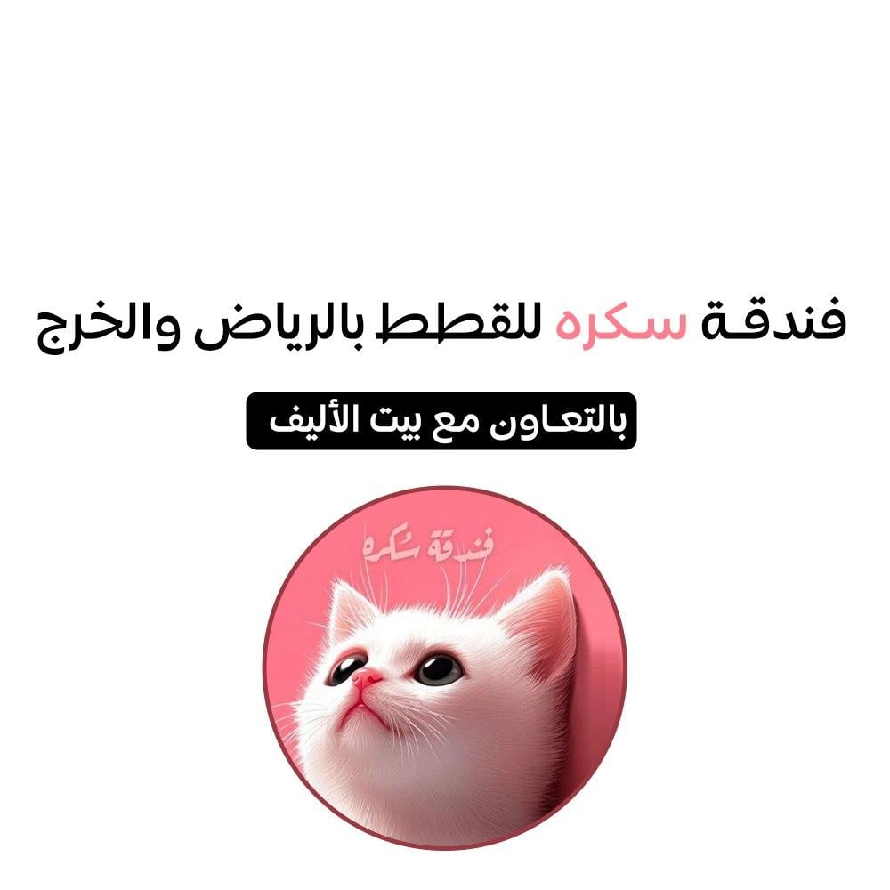 فندقة قطط بالرياض والخرج سكرة
