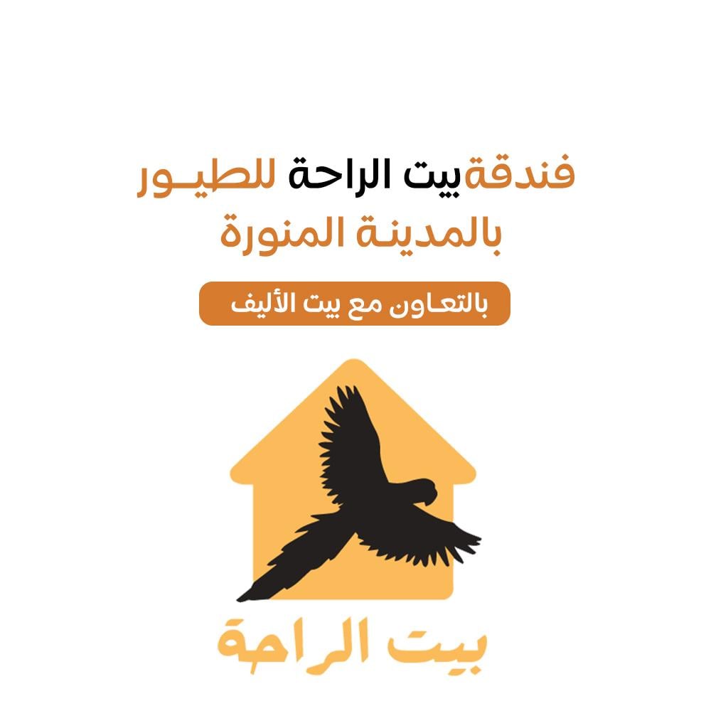 فندقة طيور بعرعر بيت الراحة