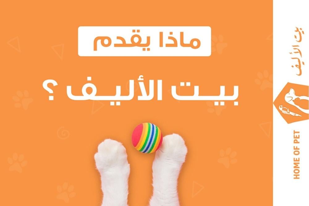 متجر بيت الأليف الأول من نوعه لرعاية القطط في السعودية