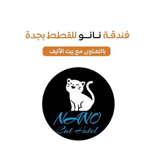 فندقة قطط بجدة NANO Cat