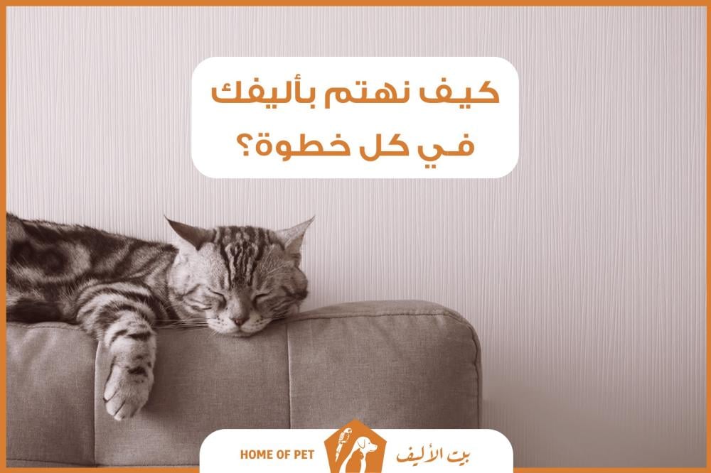 كيف نهتم بأليفك في كل خطوة؟ - دليل متجر بيت الأليف الشامل