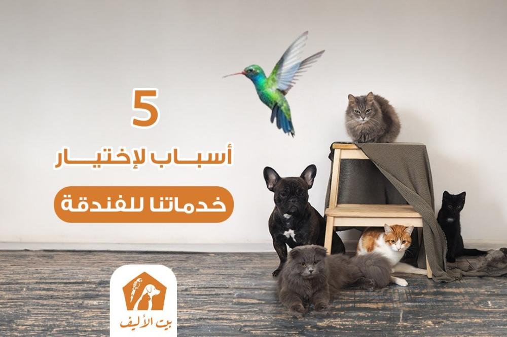 وفّر لحيوانك راحة ورفاهية مع فندقة البيت الأليف! احجز له مكانه اليوم!