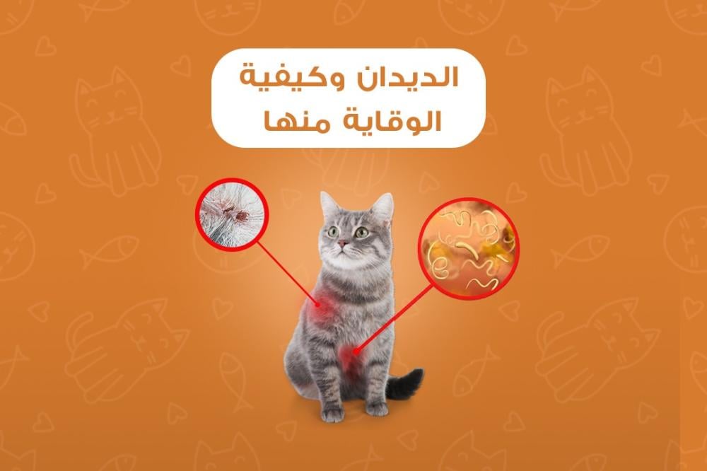 دليل شامل لعلاج ووقاية القطط من الديدان : الأعراض ، الأسباب ، وطرق الو