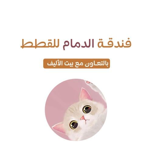 فندقة قطط بالدمام يومية و أسبوعية وشهرية