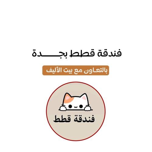 فندقة قطط بجدة