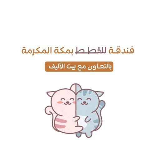 فندقة قطط بمكة المكرمة