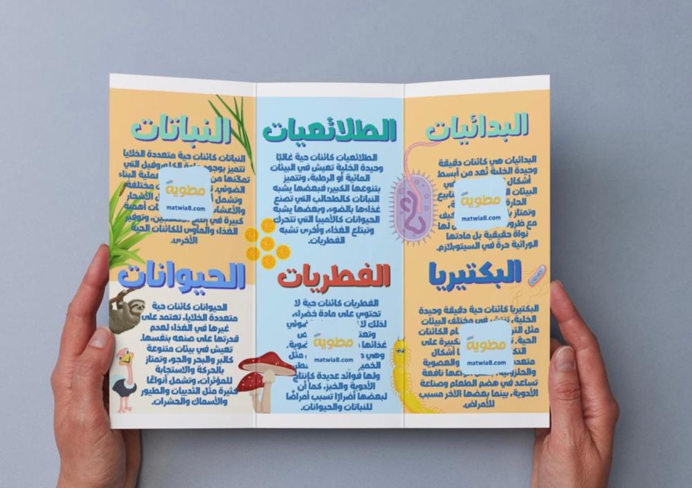 مطوية تنظيم تنوع الحياة