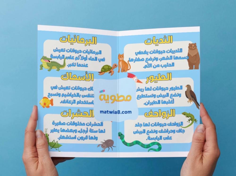 ‎مطوية أنواع الحيوانات - اول -