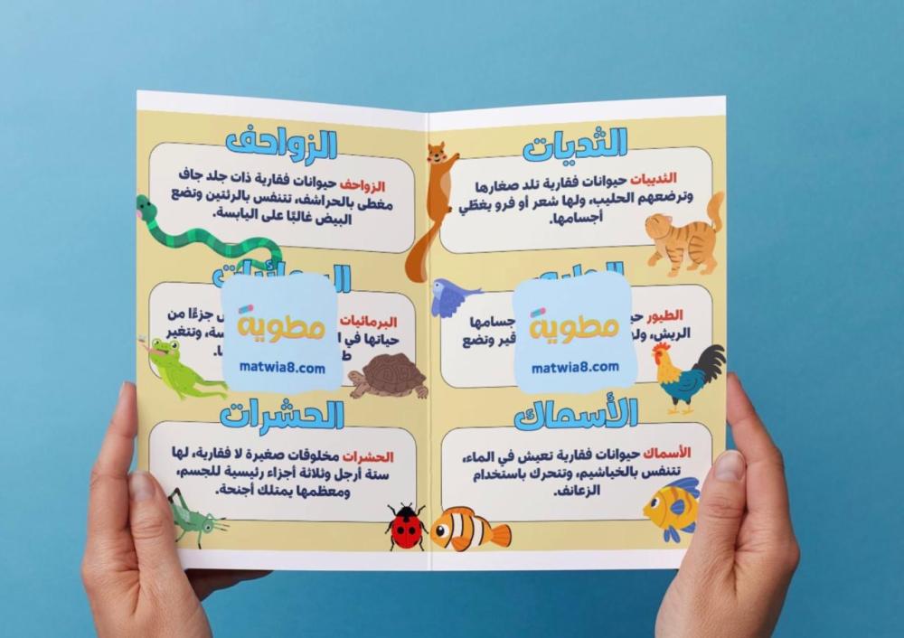 مطوية مجموعات الحيوانات - ثاني