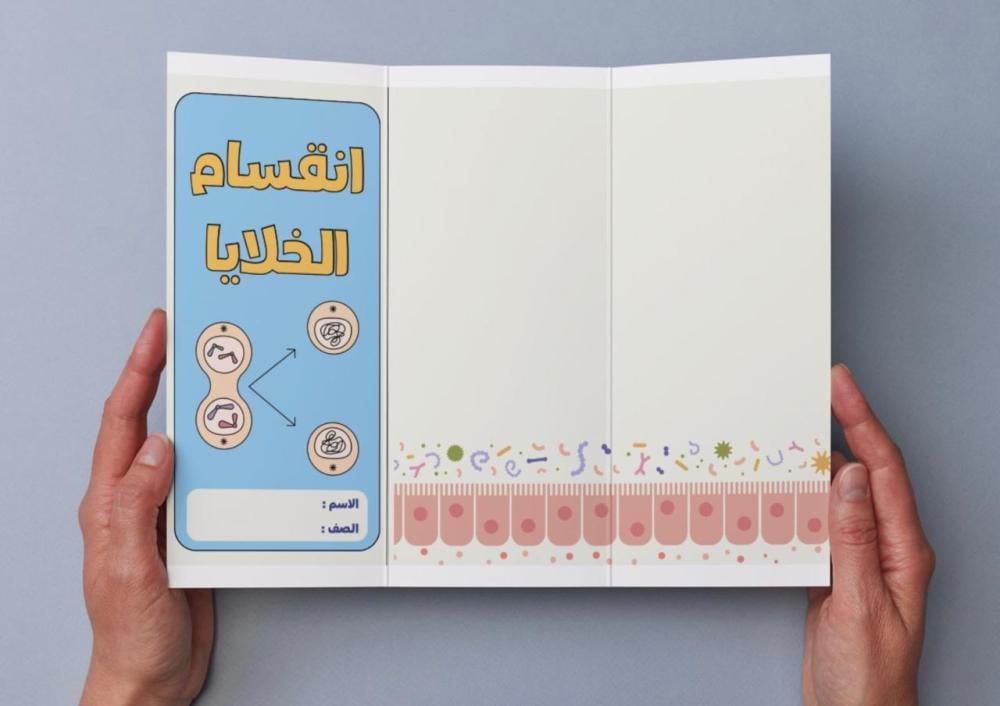 مطوية انقسام الخلايا - سادس