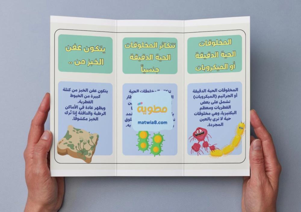مطوية عمليات الحياة في المخلوقات الحية الدقيقة - سادس