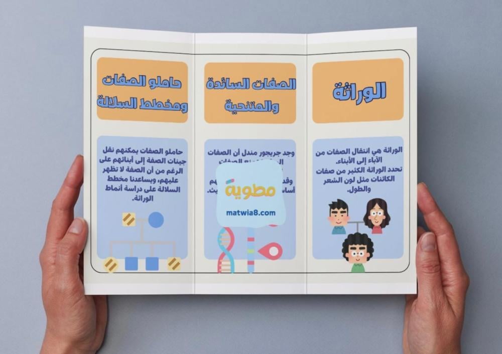 مطوية الوراثة والصفات - سادس