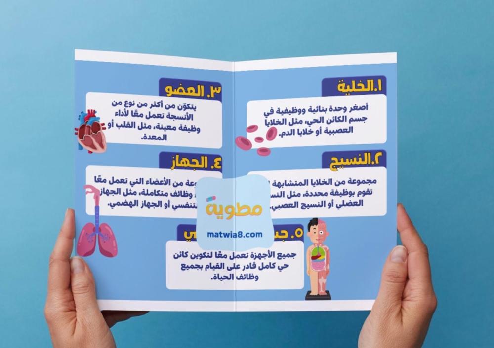 مستويات التنظيم في جسم المخلوق الحي-٦