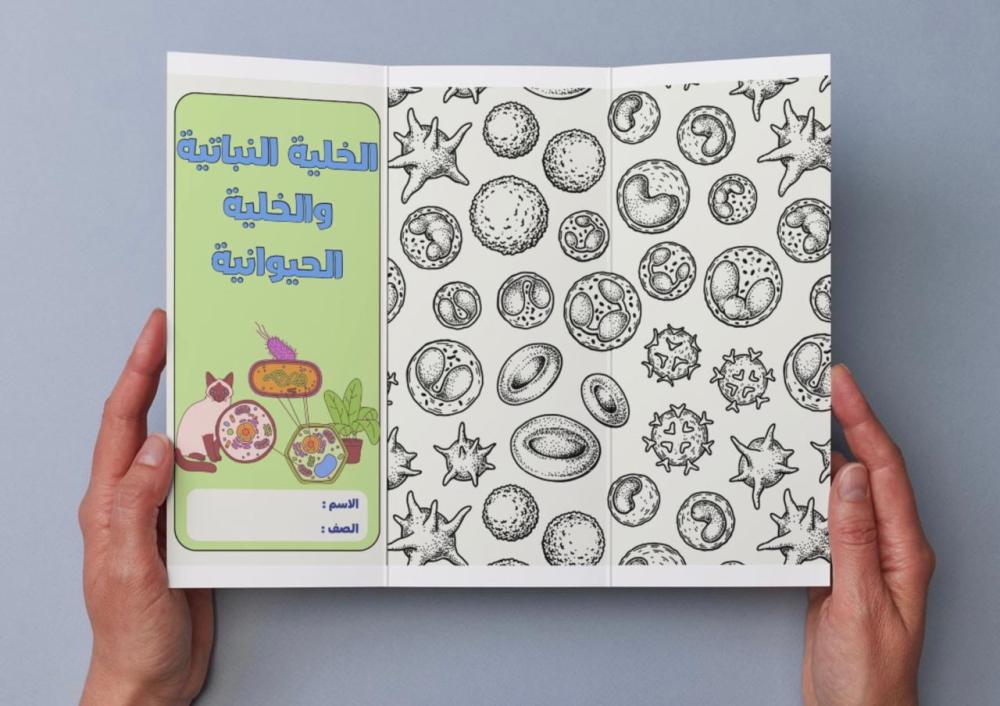 مطوية الخلية النباتية والخلية الحيوانية - سادس