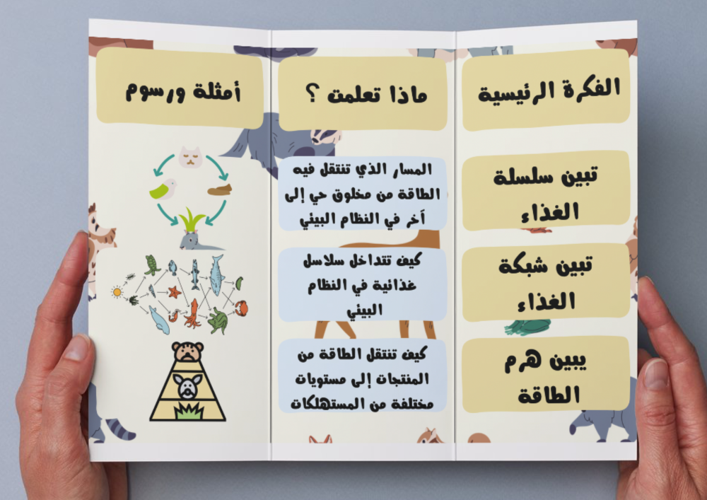 ‎مطوية السلاسل والشبكات الغذائية وهرم الطاقة