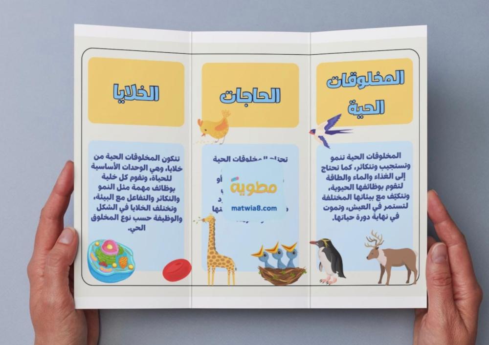 ‎مطوية المخلوقات الحية وحاجاتها - ثالث