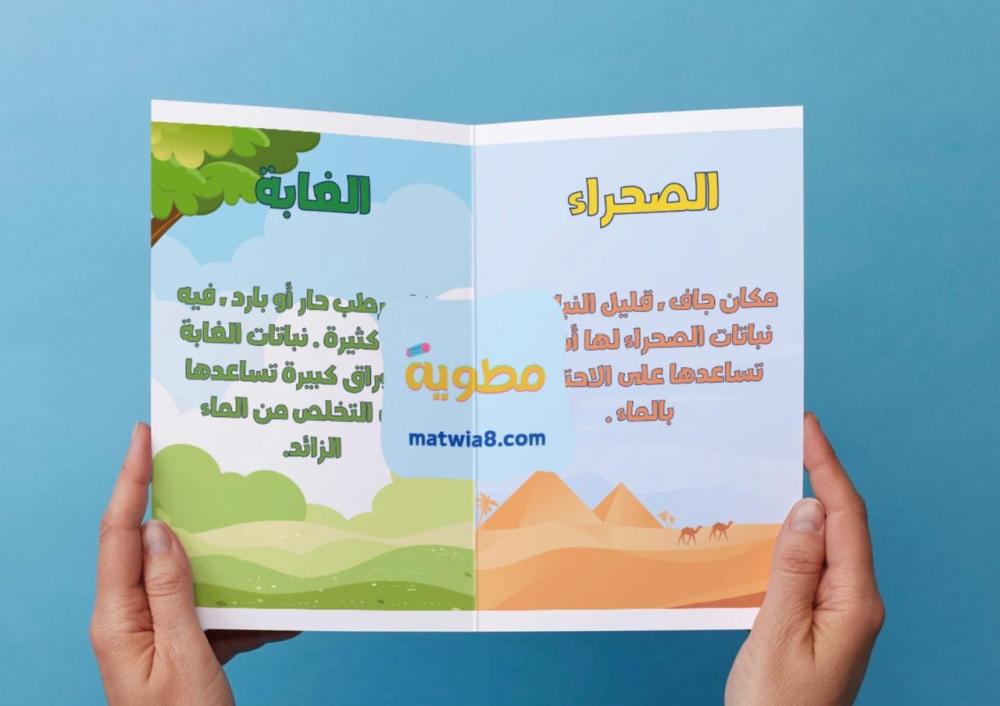 ‎مطوية تعيش النباتات في أماكن كثيرة - اول
