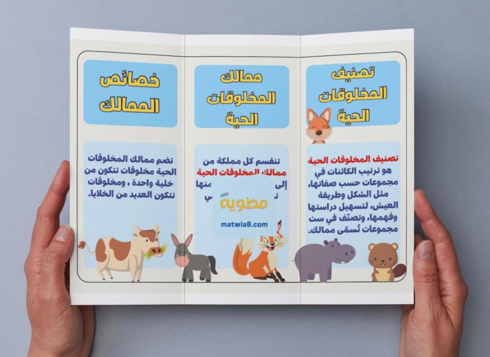 مطوية تصنيف المخلوقات الحية - رابع