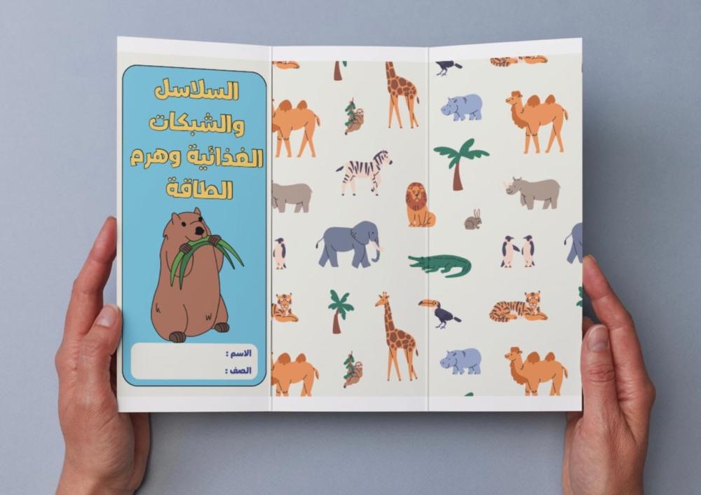 مطوية السلاسل والشبكات الغذائية وهرم الطاقة - سادس