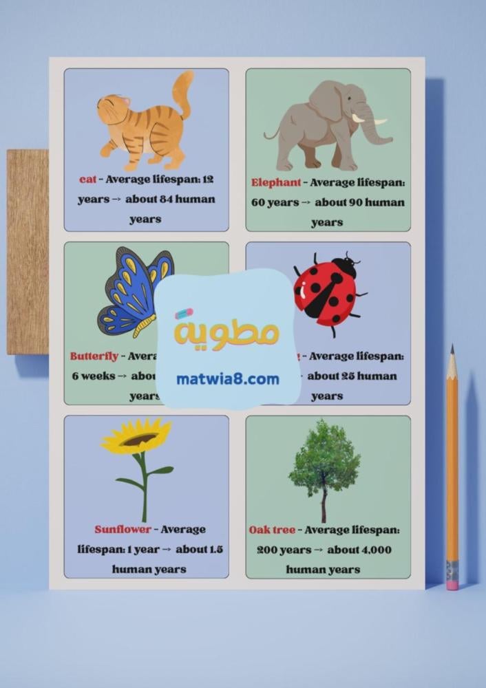 Unit.2 what day is today