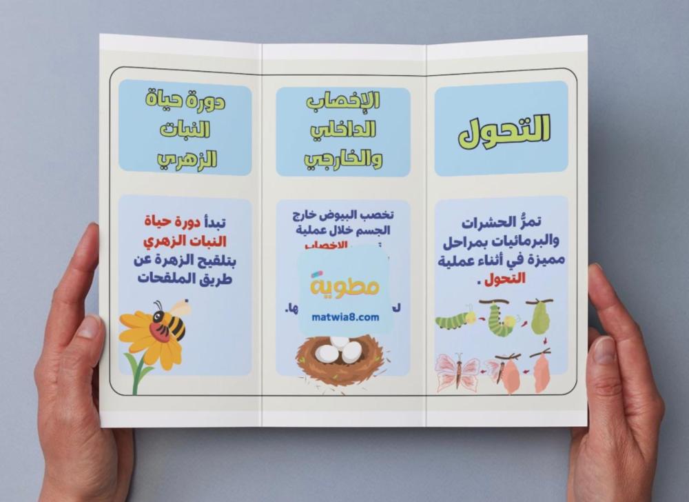 ‎مطوية دورات الحياة - خامس
