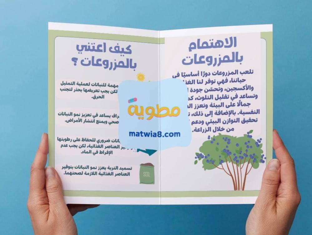‎مطوية المهارات الحياتية -١م