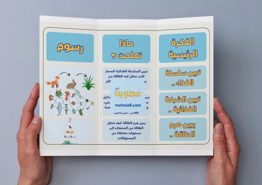 مطوية السلاسل والشبكات الغذائية وهرم الطاقة - سادس