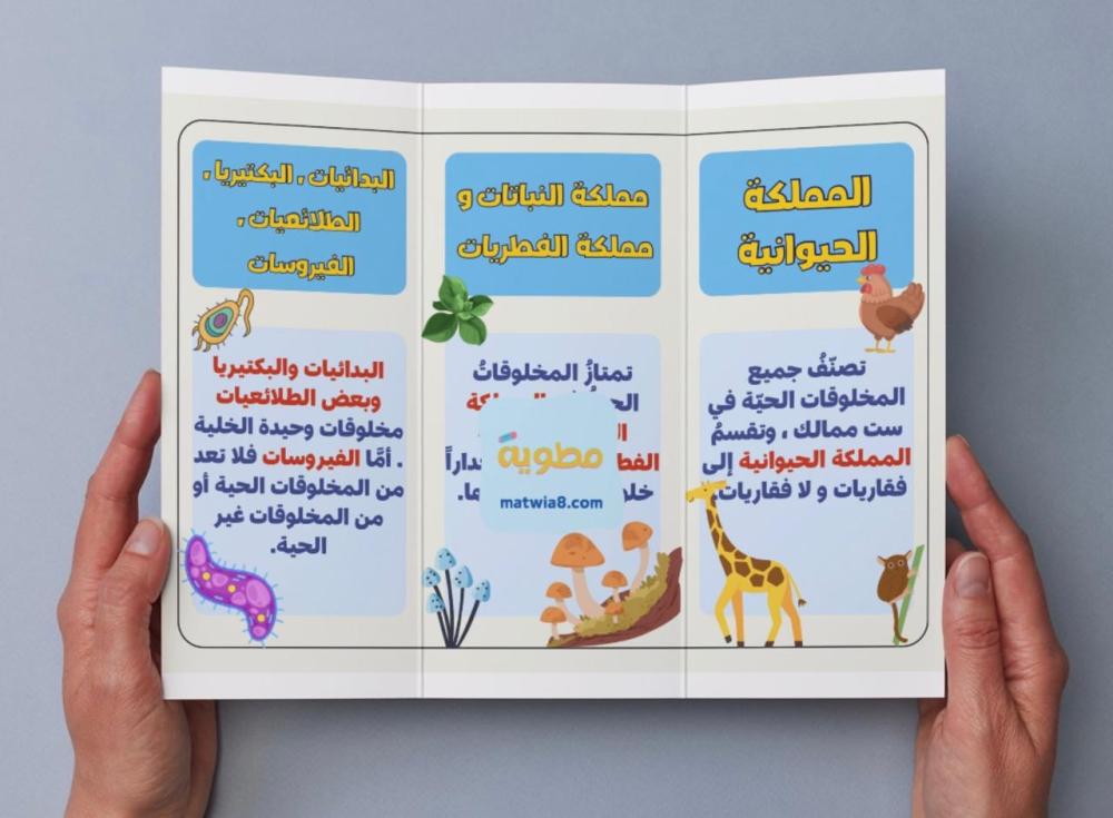 مطوية تصنيف المخلوقات الحية - خامس