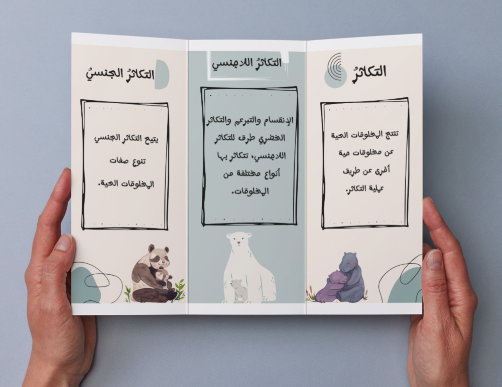 مطوية التكاثر