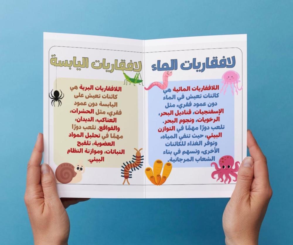 ‎مطوية الحيوانات اللافقارية اول متوسط