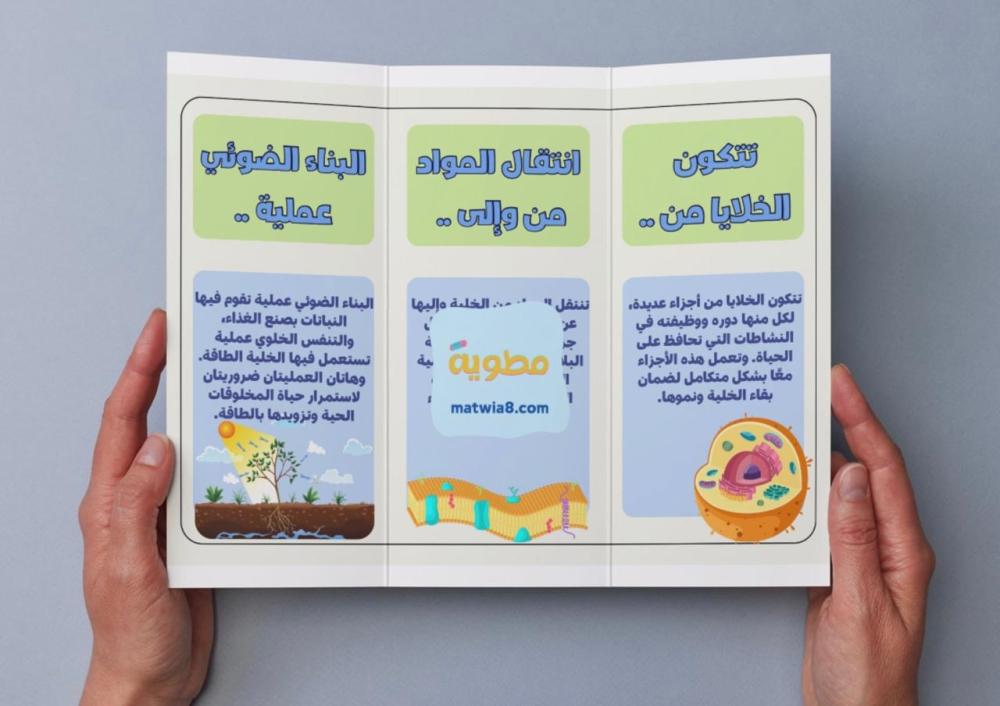 مطوية الخلية النباتية والخلية الحيوانية - سادس