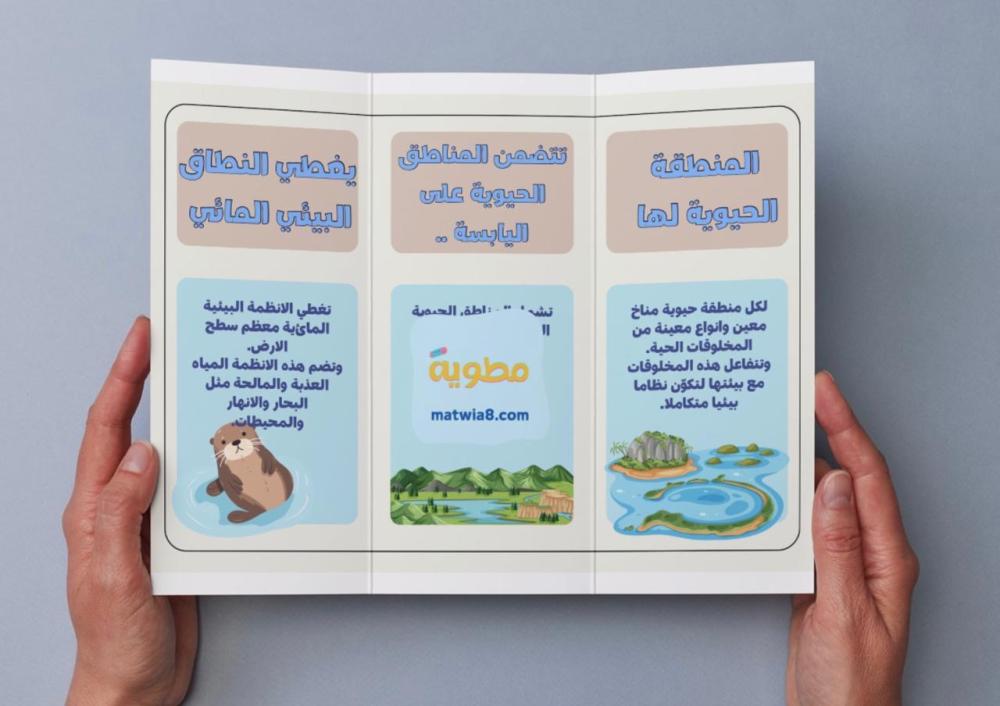 مطوية مقارنة الأنظمة البيئية - سادس