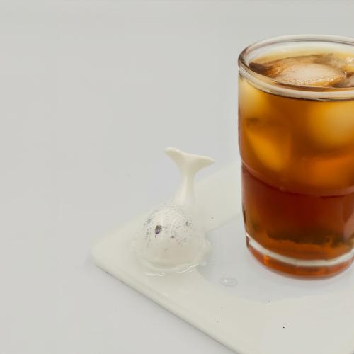 كوستر الحوت (مربع أبيض)