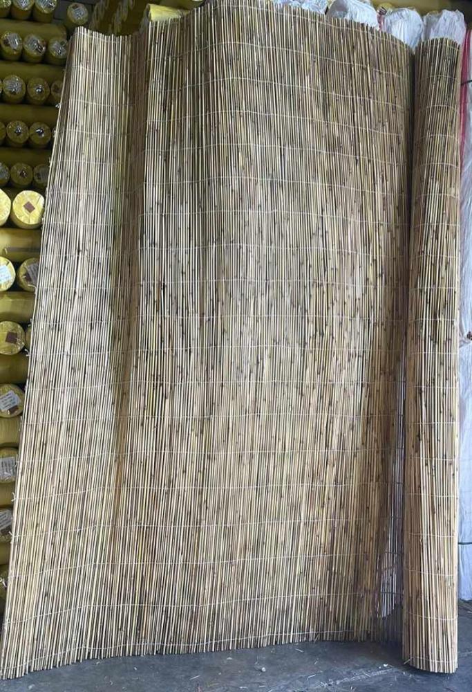 عصي خيزران باكستاني 1.5*6 متر