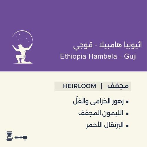 هامبيلا قوجي - اثيوبيا || Ethiopia - Hambela Guji