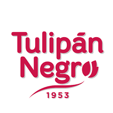 بلاك توليب Tulipan negr
