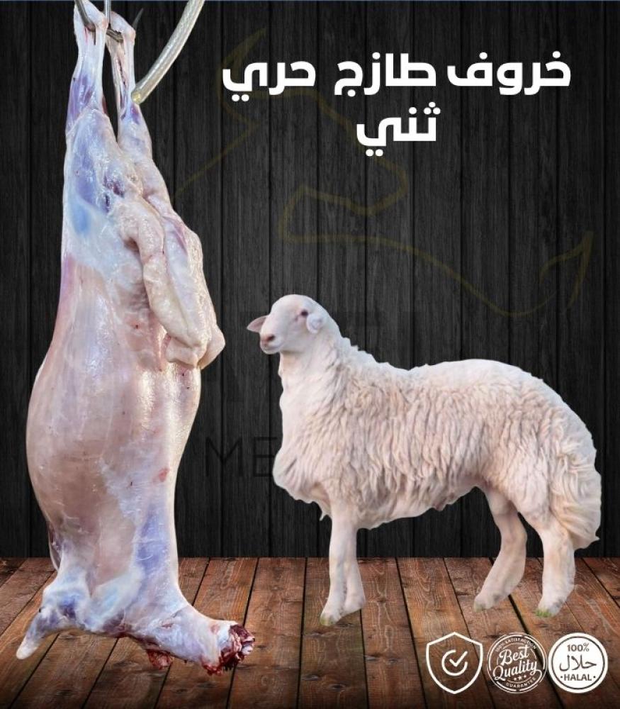 خروف طازج  حري ثني