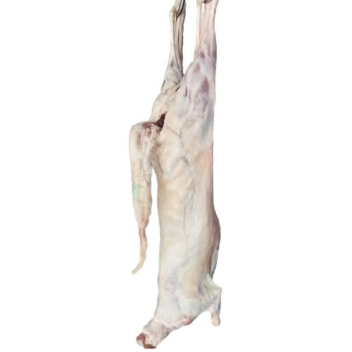خروف طازج سواكني رباع