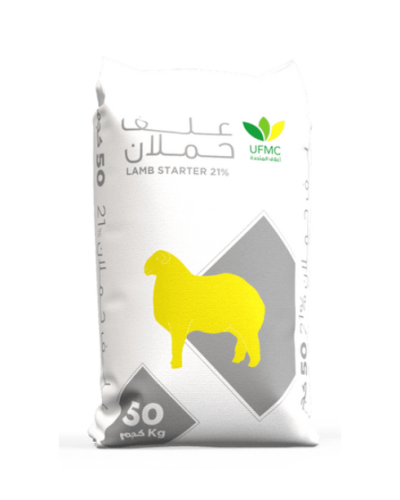 حملان 21% بروتين