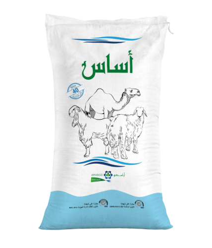أساس