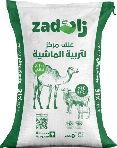 زاد تربية 14